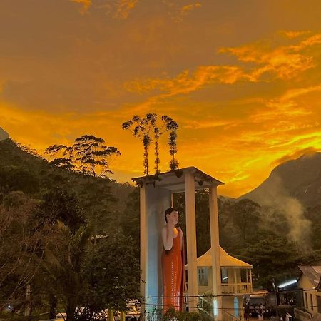 Mountain Villa Adam'S Peak Nallathanniya Dış mekan fotoğraf